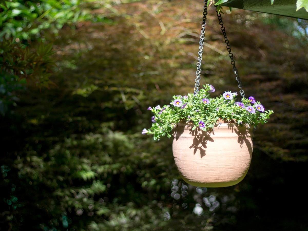 Bed and breakfast Sopra Al Querceta